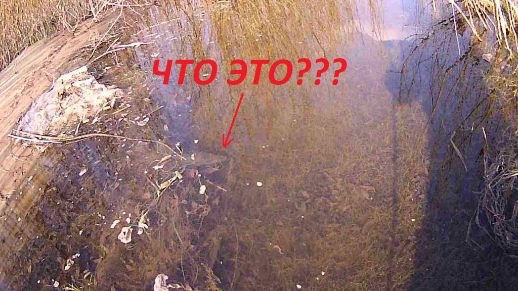 Ока 21.04.2019!!!спасение щуки!!! Ока 21.04.2019!!!спасение щуки!!!