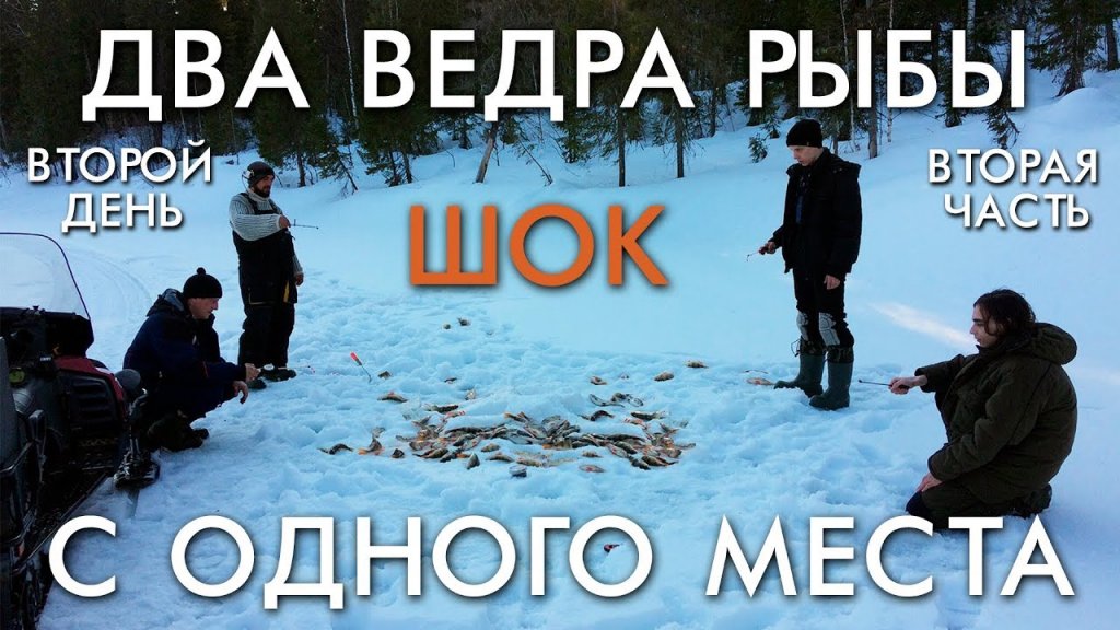 Два ведра рыбы с одного места. Вторая часть второго дня Два ведра рыбы с одного места. Вторая часть второго дня