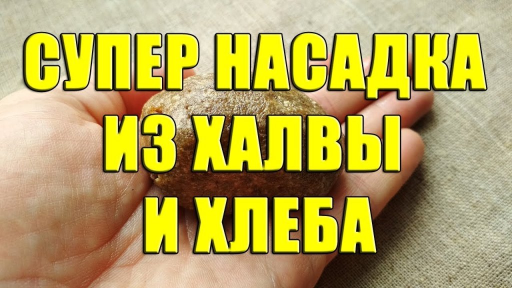 Супер насадка из халвы и хлеба. Эффективная приманка из халвы и хлеба Супер насадка из халвы и хлеба. Эффективная приманка из халвы и хлеба
