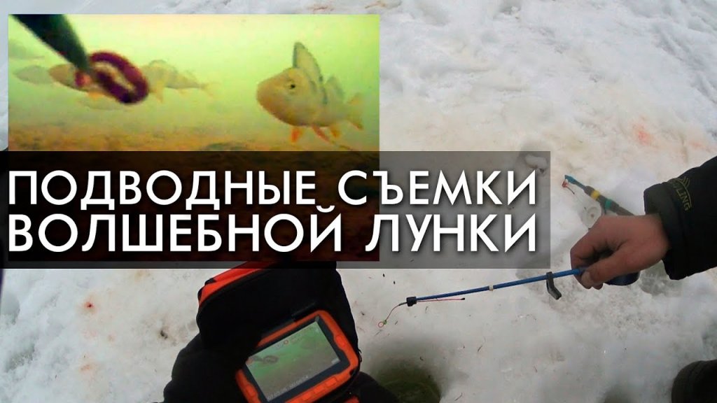 Подводные съемки уловистой лунки. Заключительный день на таежной реке Подводные съемки уловистой лунки. Заключительный день на таежной реке