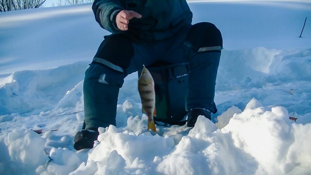 Зимняя рыбалка. Как ловить окуней в плохую погоду.