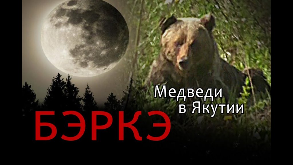 Большая медведица. Большая медведица.