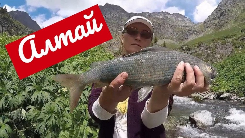 Рыбалка в Горном Алтае летом