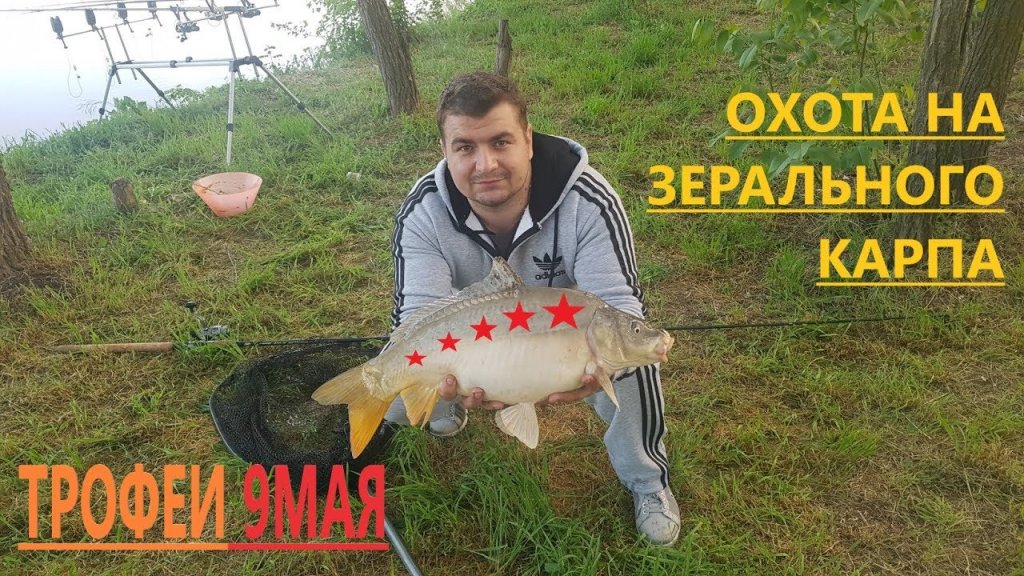 Охота на зеркального карпа...первая рыбалка сезона!!!