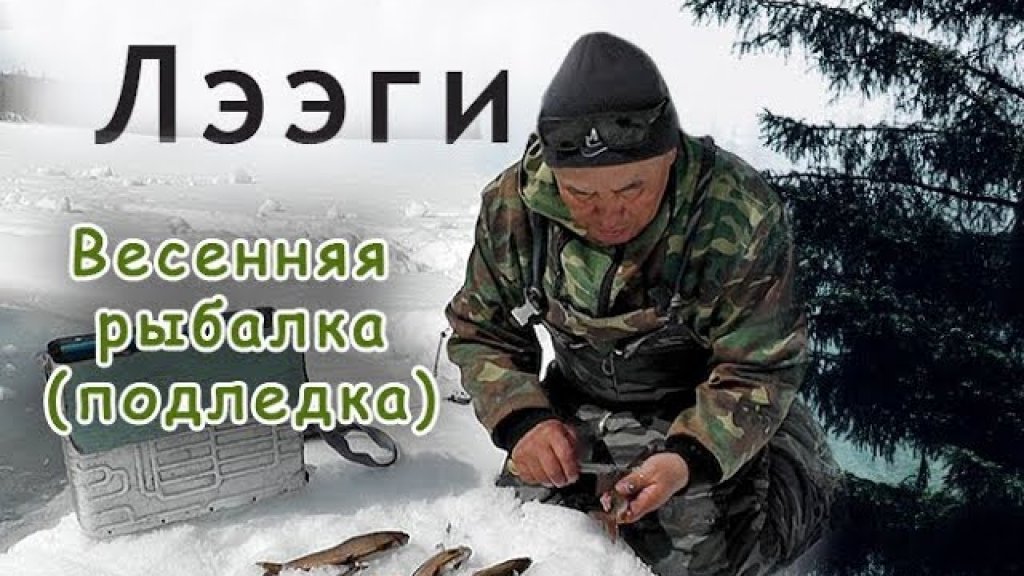 Весенняя рыбалка подледка. Сибирский хариус. Заряжаем аккумулятор Весенняя рыбалка подледка. Сибирский хариус. Заряжаем аккумулятор