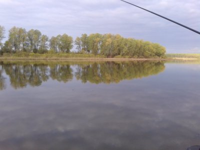 Клев на сегодня на реке. Река Чаус Новосибирская область. Чаус апрель река. Река Чаус рыбалка Колывань. Село скала река Чаус.
