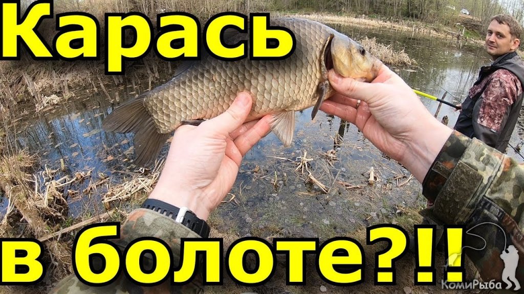 Карась в болоте?!?! Рыбалка 2019. Бешеный клев карася