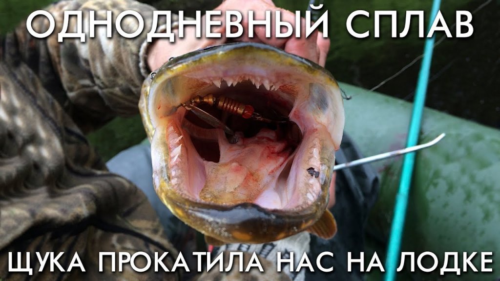 Однодневный сплав по таежным рекам / поймали большую щуку которая прокатила нас на лодке Однодневный сплав по таежным рекам / поймали большую щуку которая прокатила нас на лодке