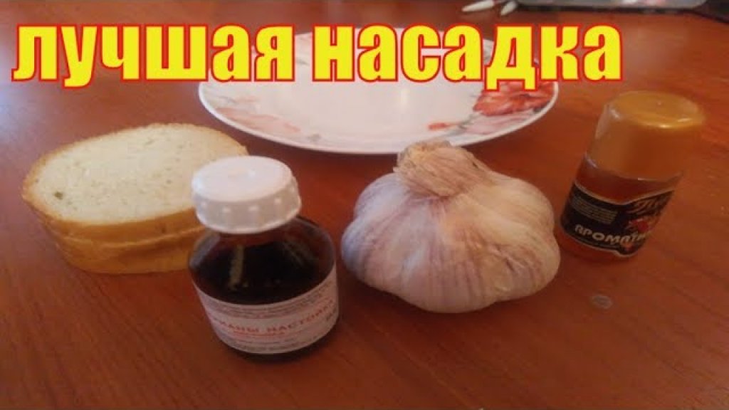 Лучшая насадка на карася.