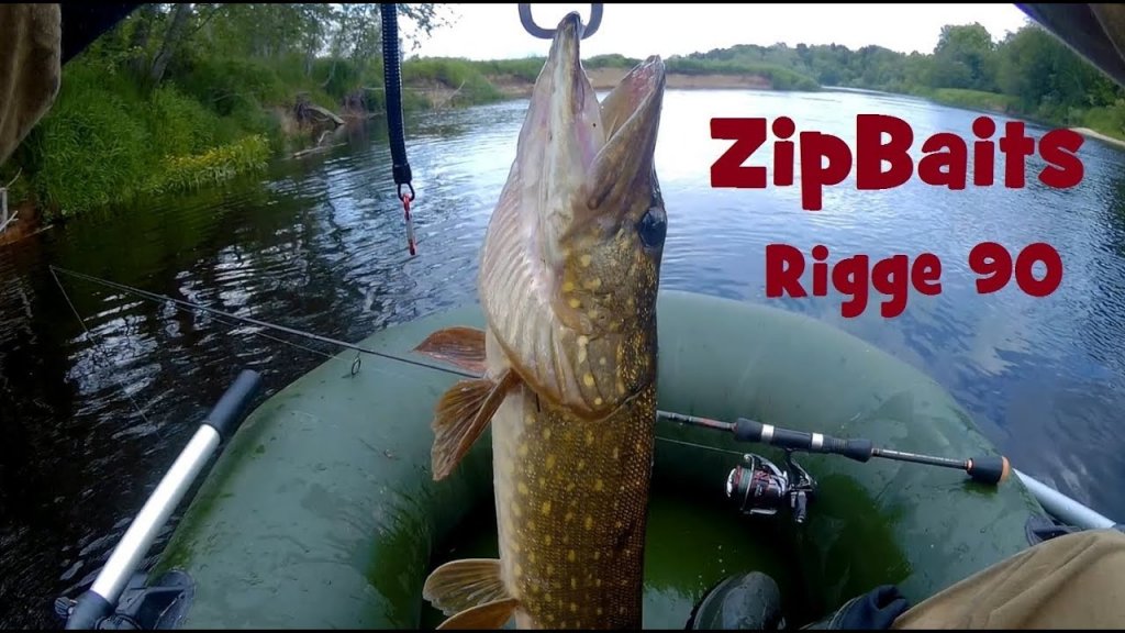 Ловля щуки на воблер  ZipBaits Rigge 90 SP. Лучшие воблеры на щуку