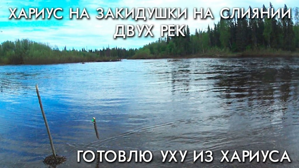 Хариус на закидушки на слиянии двух рек / готовлю уху из хариуса Хариус на закидушки на слиянии двух рек / готовлю уху из хариуса