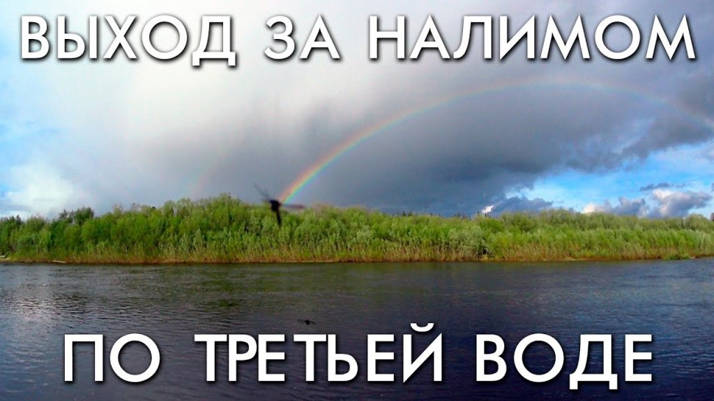 Выход за налимом на таежную реку во время падения третьей воды