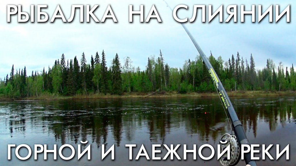 Рыбалка на слиянии горной и таежной рек / хариус на поплавок Рыбалка на слиянии горной и таежной рек / хариус на поплавок