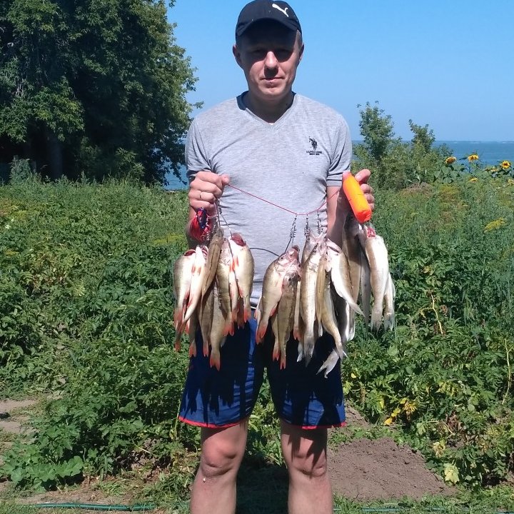 Aleksei_