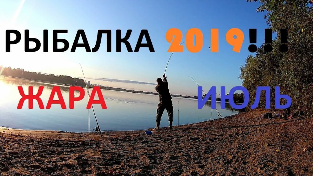 Рыбалка на кормушки в 2019.  Белая рыба.  Жара июль!