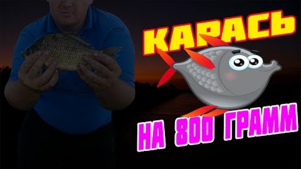 язь и карась норм получилась рыбалка язь и карась норм получилась рыбалка