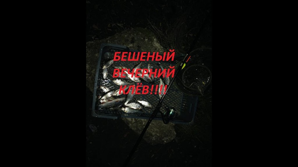 Нара 2.07.2019!!!бешеный вечерний клёв!!! Нара 2.07.2019!!!бешеный вечерний клёв!!!
