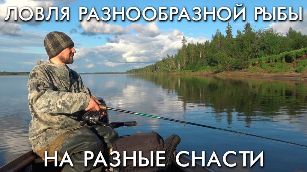 Ловля разнообразной рыбы на разные снасти