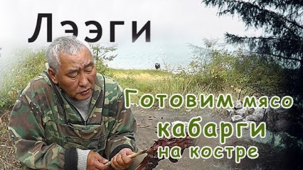 Как приготовить дикое мясо кабарги на костре.//Yakut taiga dish of meat from wild musk deer Как приготовить дикое мясо кабарги на костре.//Yakut taiga dish of meat from wild musk deer