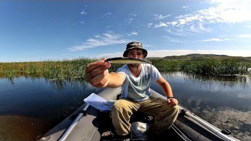 Рыбалка на щуку по затонам, рыбалка на спиннинг в Августе 2019