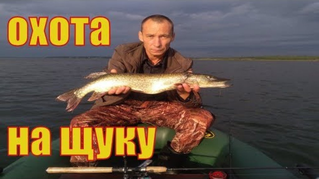 Рыбалка в августе.