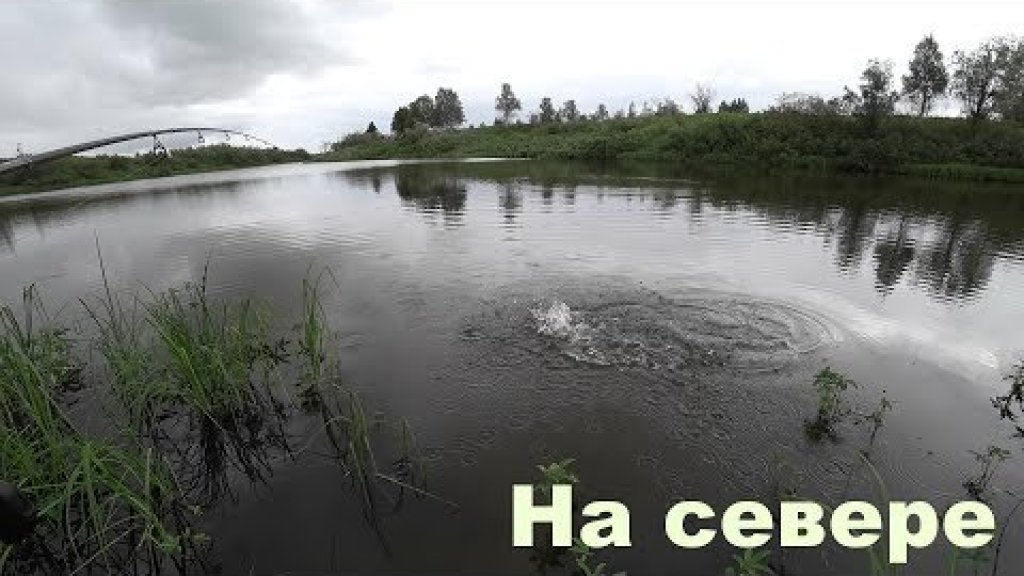 Рыбалка на севере. Бешеная щука в озере. Китайские воблера ловят!!! Рыбалка на севере. Бешеная щука в озере. Китайские воблера ловят!!!