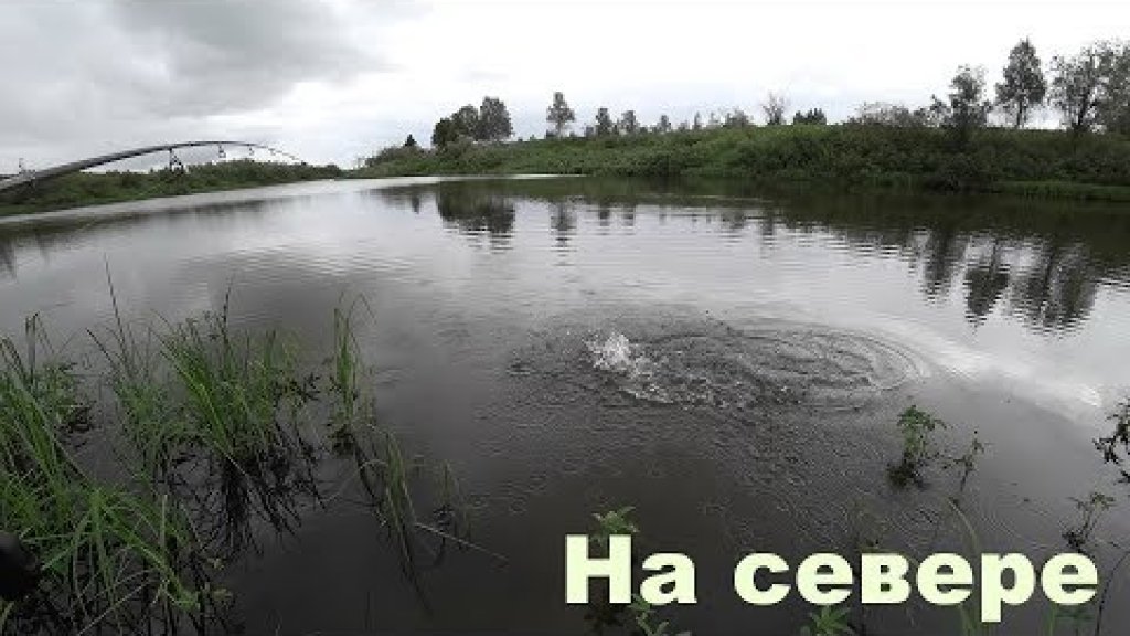 Рыбалка на севере. Бешеная щука в озере. Китайские воблера ловят!!!