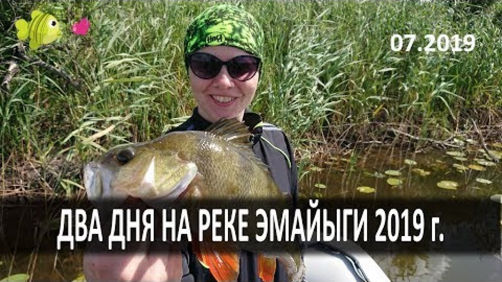 Два дня на реке Эмайыги, 2019 год. Kaks päeva Emajõel 2019. Fishing at Emajõgi river 2019 y.