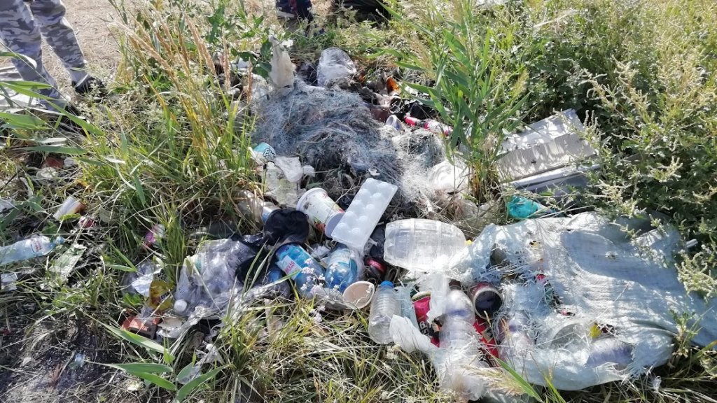 Уборка мусора на берегу озеро Чаны (Черный колок)