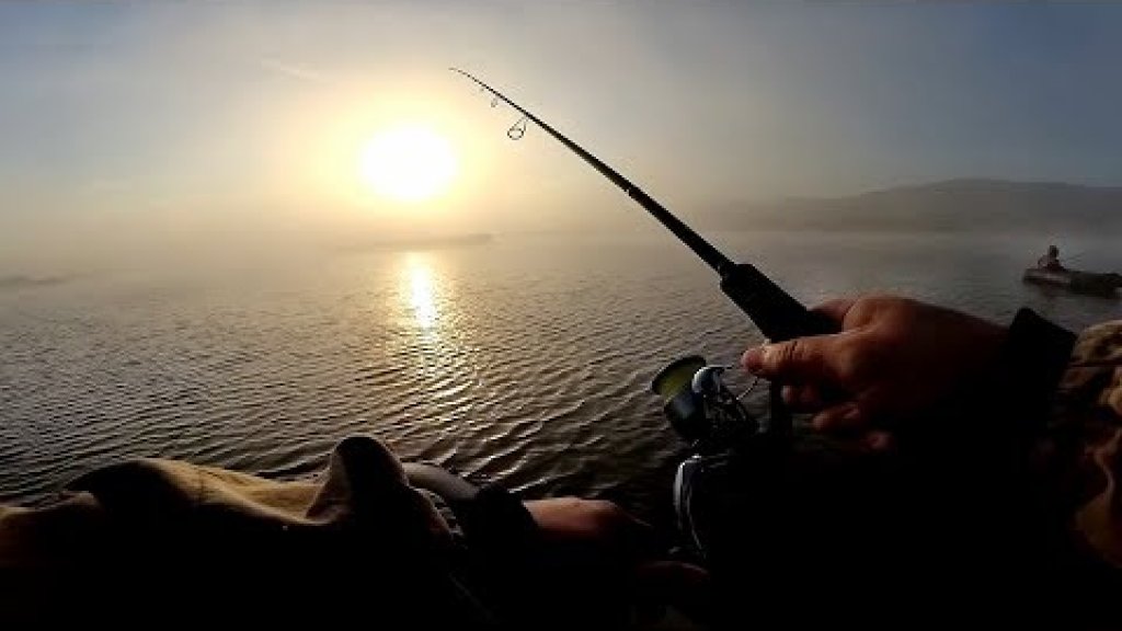Рыбалка на спиннинг в затонах, осенью 2019, рыбалка в тумане