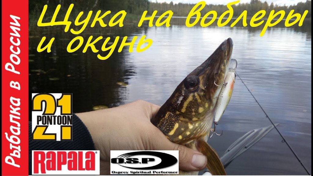 Твичинг, ловля Щуки и Окуня Китайские воблеры Rapala , Ponnoon 21 ,  O.S.P Rudra