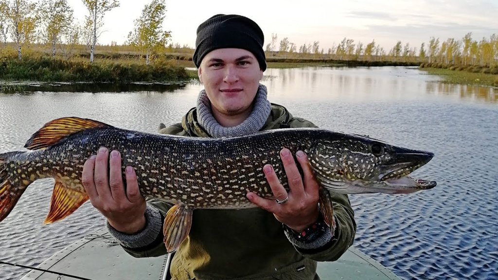 Рыбалка на болотах Новосибирской области