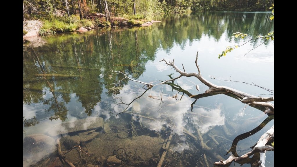 Озеро с кристальной водой. Один день в национальном парке. Рыбалка, ягоды, грибы.