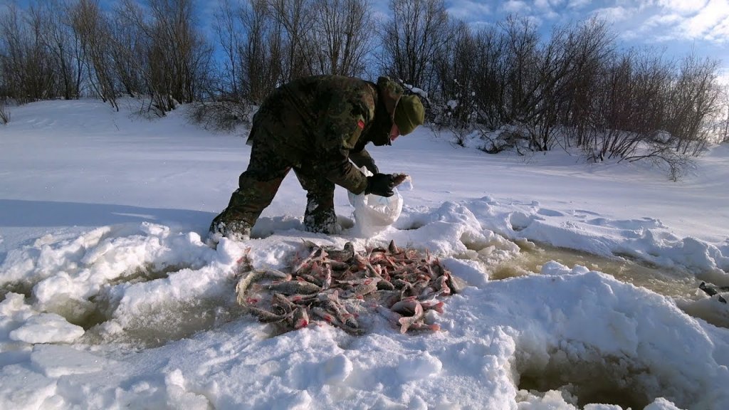 Рыбалка на севере. Пол мешка рыбы с одной лунки. Клев мечты. Часть 2.