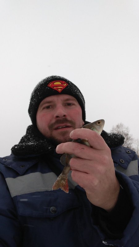 Первый в жизни зимний окунь на первой в жизни зимней рыбалке ?