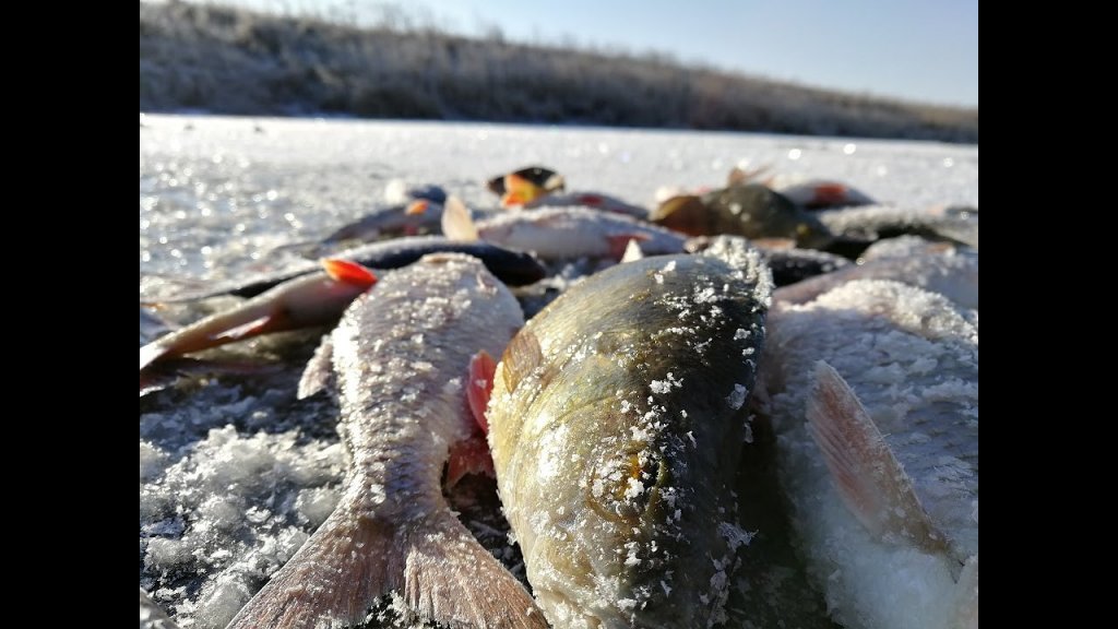 Открытие СУПЕР! Первый лед 2019-2020 на малой реке