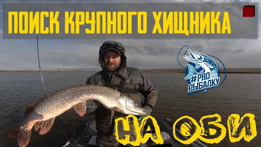 Как найти крупного хищника на реке: судак и щука Как найти крупного хищника на реке: судак и щука