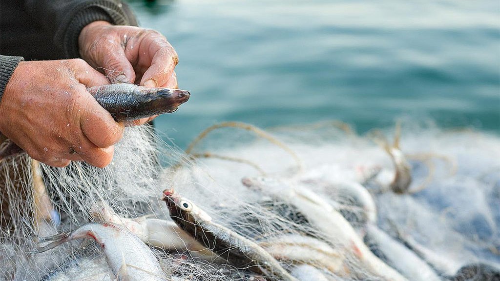 О  применении сетей при любительском рыболовстве