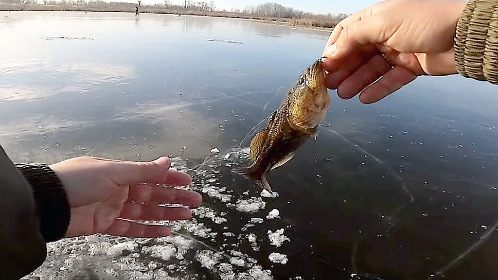 Зимняя рыбалка. Первый лед на озере 2019-2020