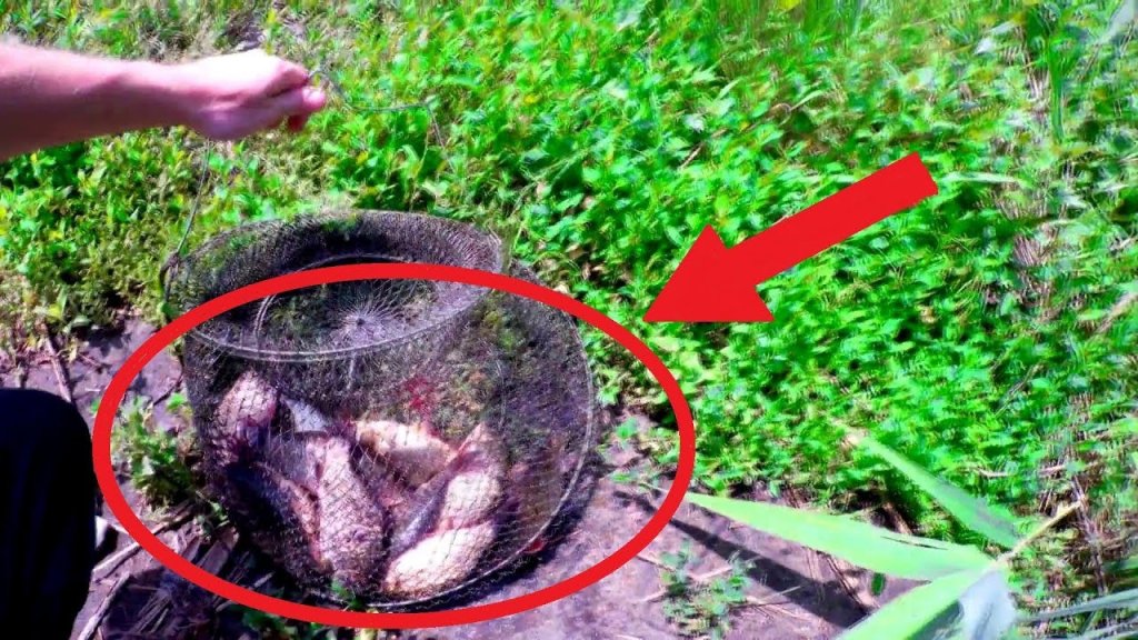 Вот это клев на рыбалке!!! Карась не дает положить удочку Вот это клев на рыбалке!!! Карась не дает положить удочку