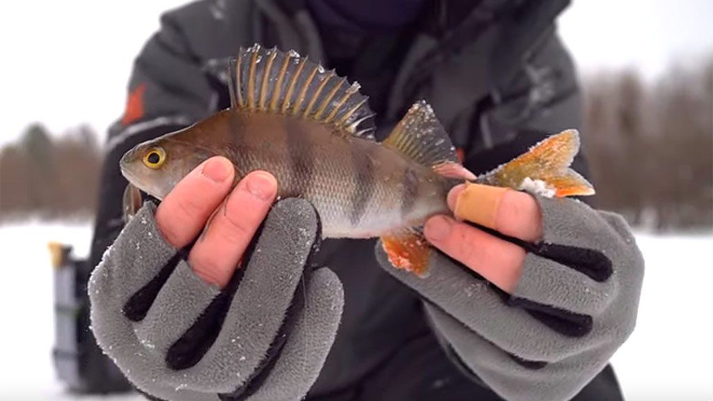 Эта блесна сделала рыбалку! Зимняя рыбалка в декабре 2019