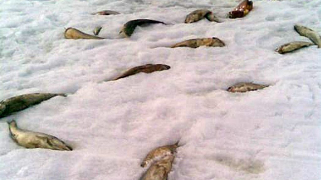 Новосибирское водохранилище. На пороге катастрофы Новосибирское водохранилище. На пороге катастрофы