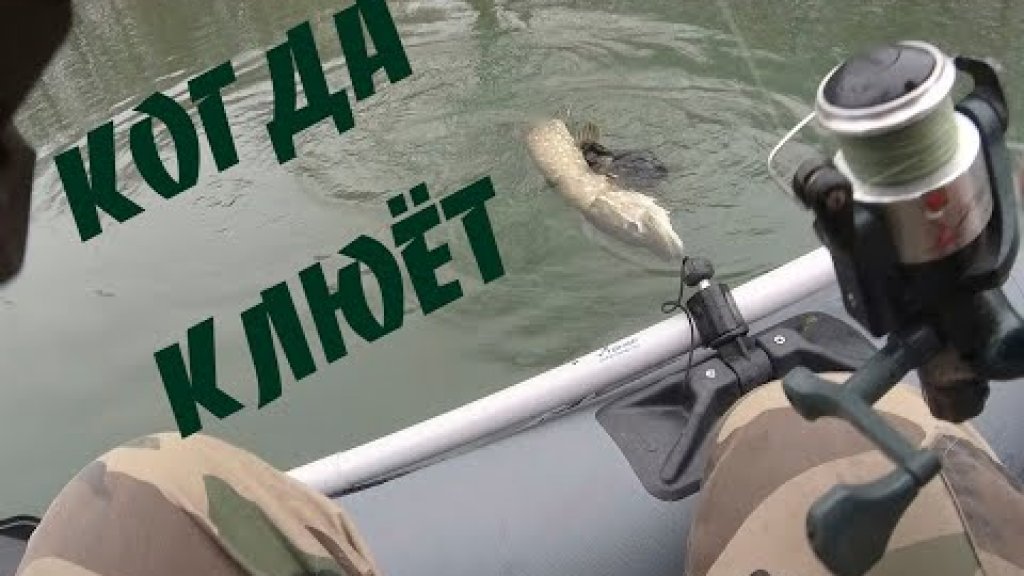 ПОЙМАЛ !Рыбалка с отличным уловом. Рыбалка в декабре #рыбалка #декабрь ПОЙМАЛ !Рыбалка с отличным уловом. Рыбалка в декабре #рыбалка #декабрь