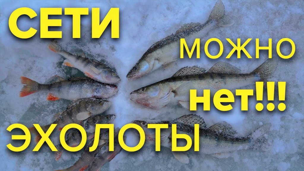 Попали на ХАПОК СУДАКА. РЫБАЛКА 2020 окунь балансир мормышка. Новое в законодательстве о рыбалке