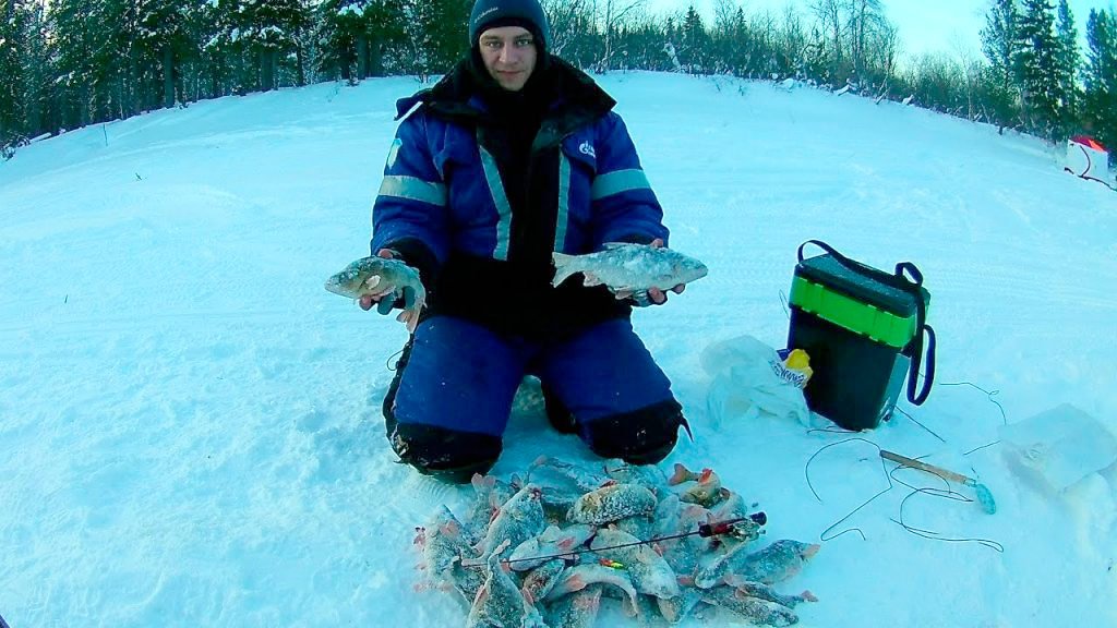 Ловля окуня и сороги зимой на Ямале. Зимняя рыбалка 2020 на балансир и мормышки