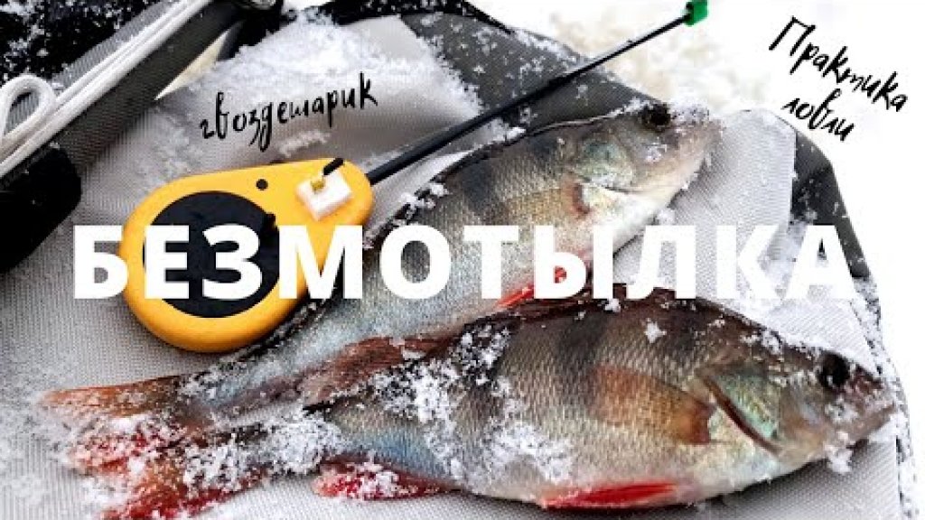 Зимняя рыбалка 2020 на БЕЗМОТЫЛКУ в ГЛУХОЗИМЬЕ / Рыбалка в январе / 4К