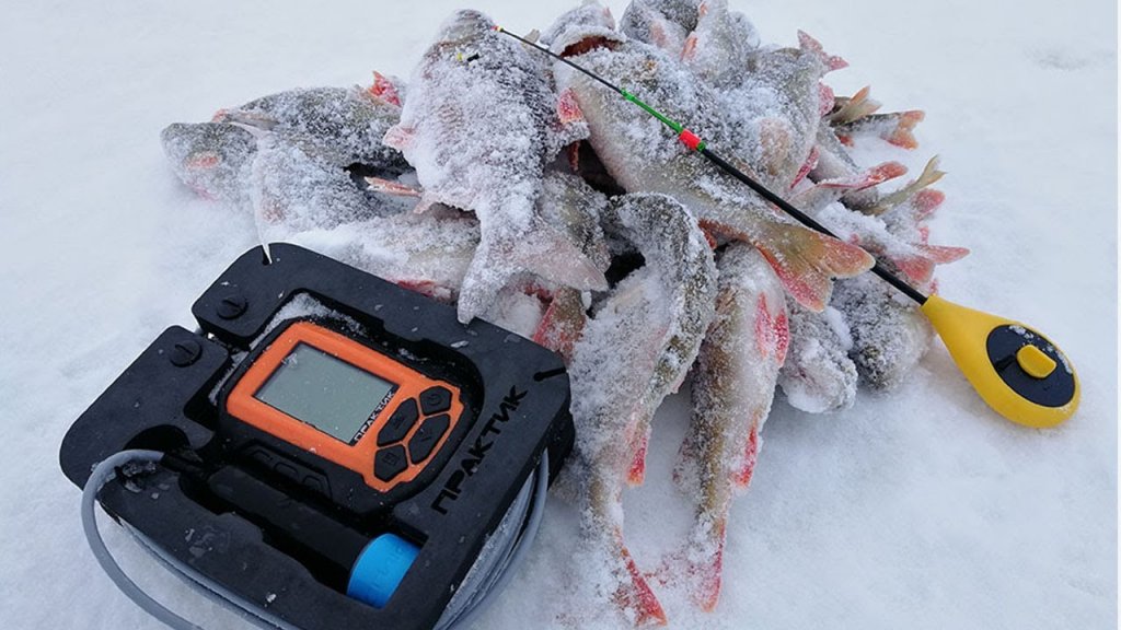 РЫБАЛКА С ЭХОЛОТОМ ПРАКТИК! Зимняя рыбалка 2020, окунь и плотва на безмотылку