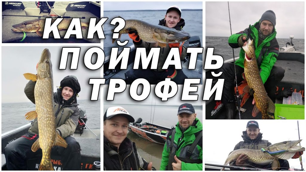 ГДЕ и КАК ловить ТРОФЕЙНУЮ щуку поздней осенью в прозрачной воде? озеро Нарочь, Беларусь
