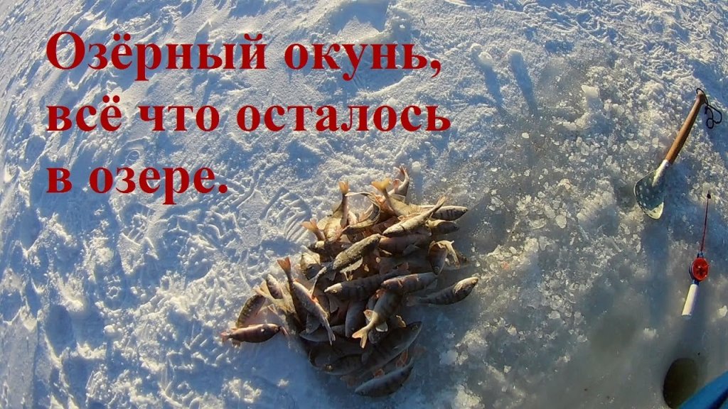 Зимняя рыбалка 2019-2020 на окуня в деревне Первый лёд