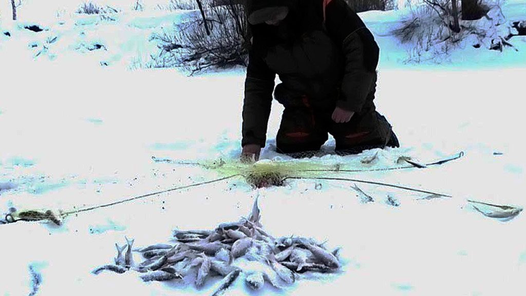 Ловля на хапугу видео. Хапуга для зимней рыбалки. Хапуга для ловли корюшки. Хапуга для рыбалки зимой. Ловля корюшки на хапугу зимой.
